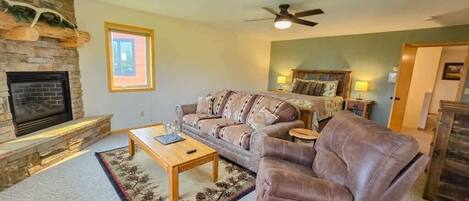 تلفزيون ذكي، مدفأة، مشغل دي في دي، كُتُب