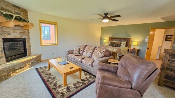 Smart TV, fireplace, DVD player, books