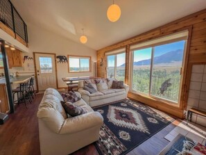 Smart TV, chimenea, libros y oficina 