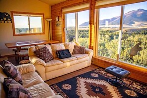 TV connectée, cheminée, lecteur de DVD, livres