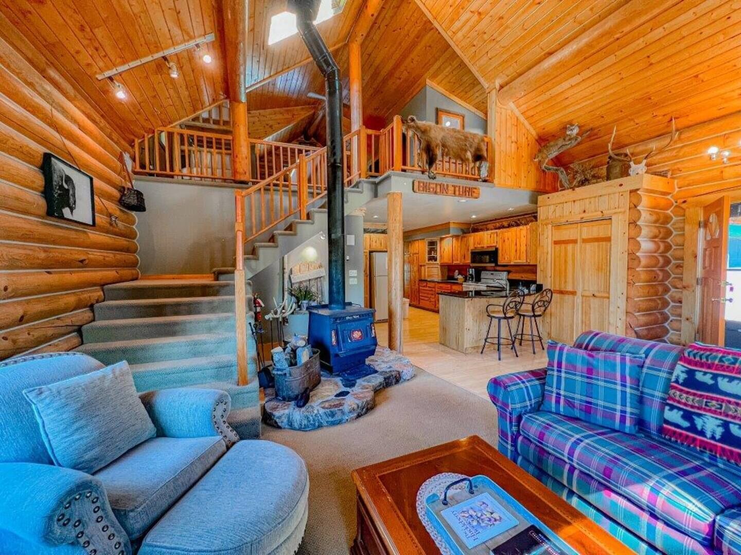 テレビ、暖炉、DVD プレーヤー