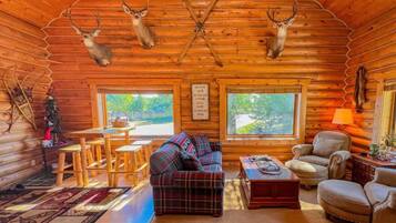 电视、壁炉、DVD 播放器