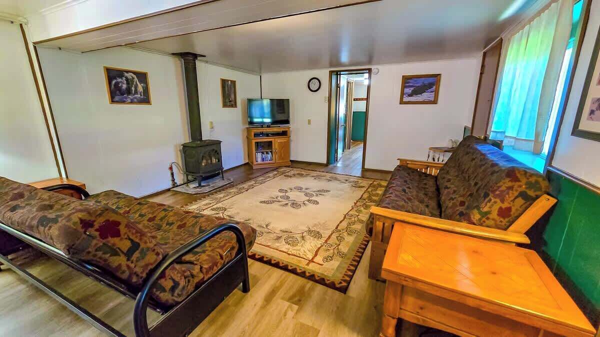 TV, fireplace, DVD player, books