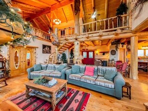 TV, fireplace, DVD player, books