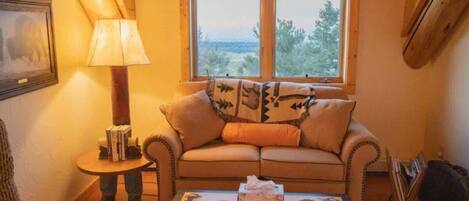 Télévision, cheminée, lecteur de DVD, livres