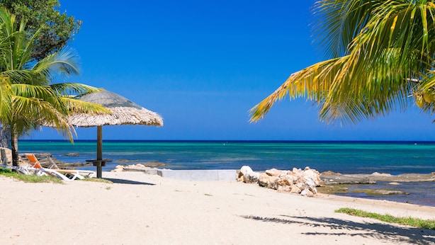 Een strand met een rieten parasol, ligbedden en palmbomen.
