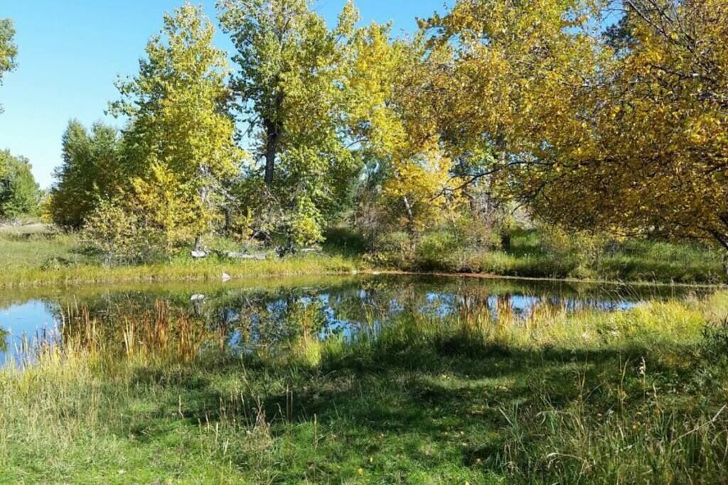Private Pond