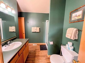 Chuveiro, secador de cabelo, toalhas de banho, sabonete