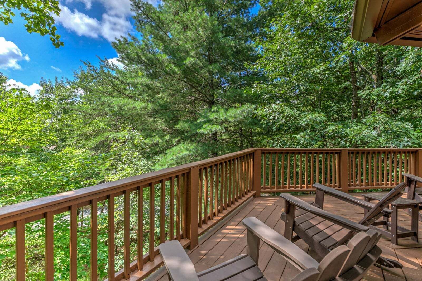 A wooden deck with a railing, surrounded by dense green foliage.