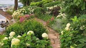 Un chemin de jardin bordé d’hortensias blancs en fleurs et de divers arbustes.