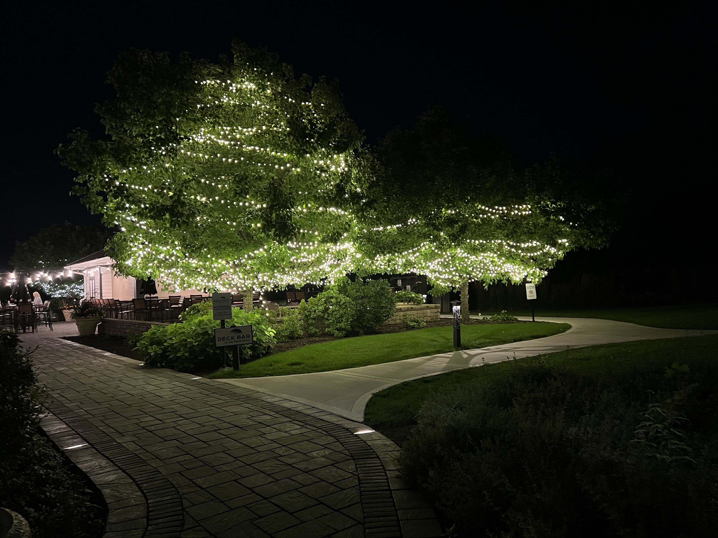 Un espacio al aire libre de noche con un camino pavimentado, un bar en terraza y árboles decorados con luces colgantes.