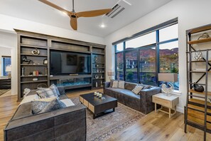 TV, fireplace, books