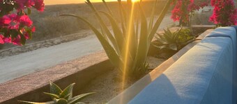 Cuatro Caballos East Cape