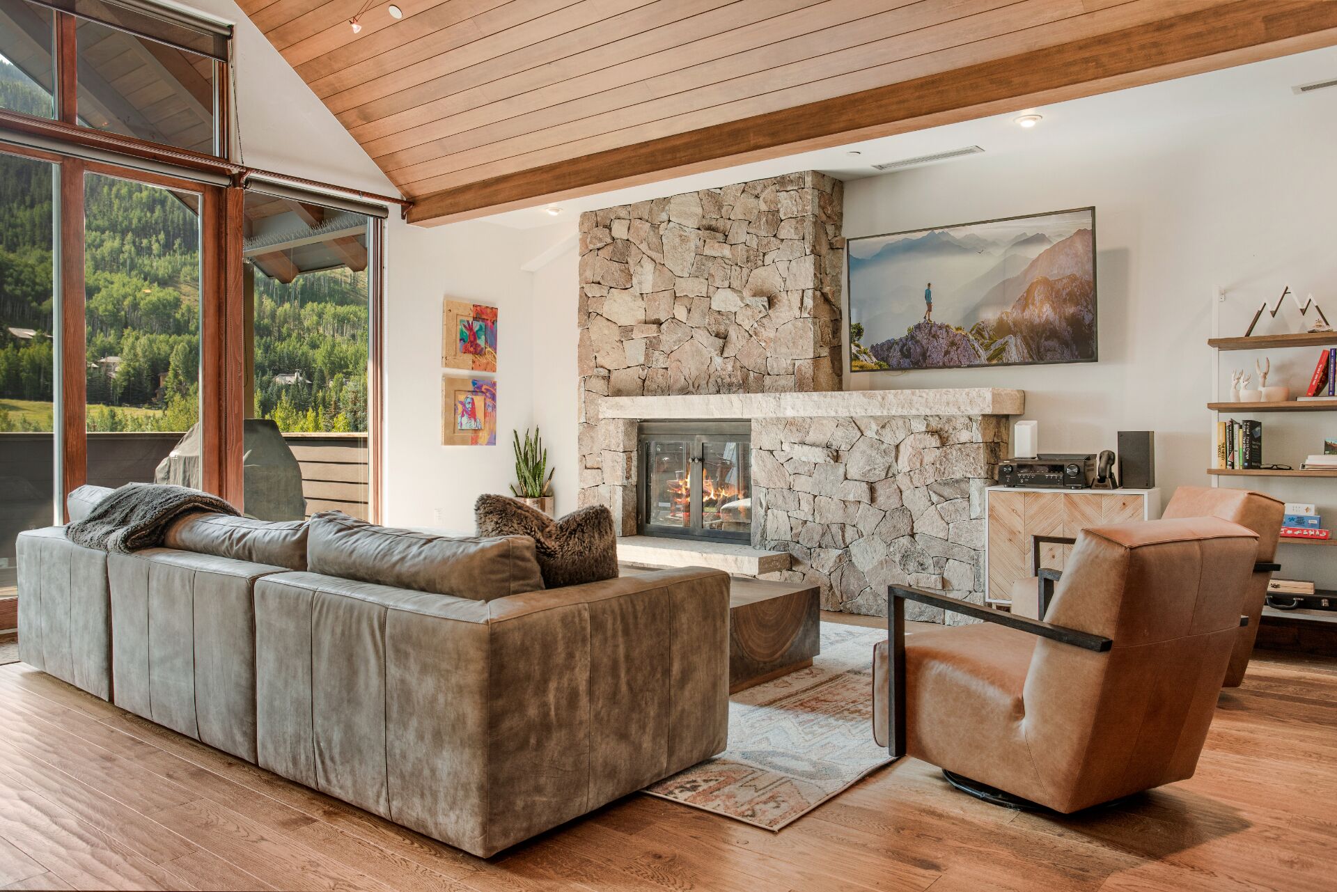 TV, fireplace, stereo