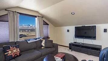 TV, video games, books