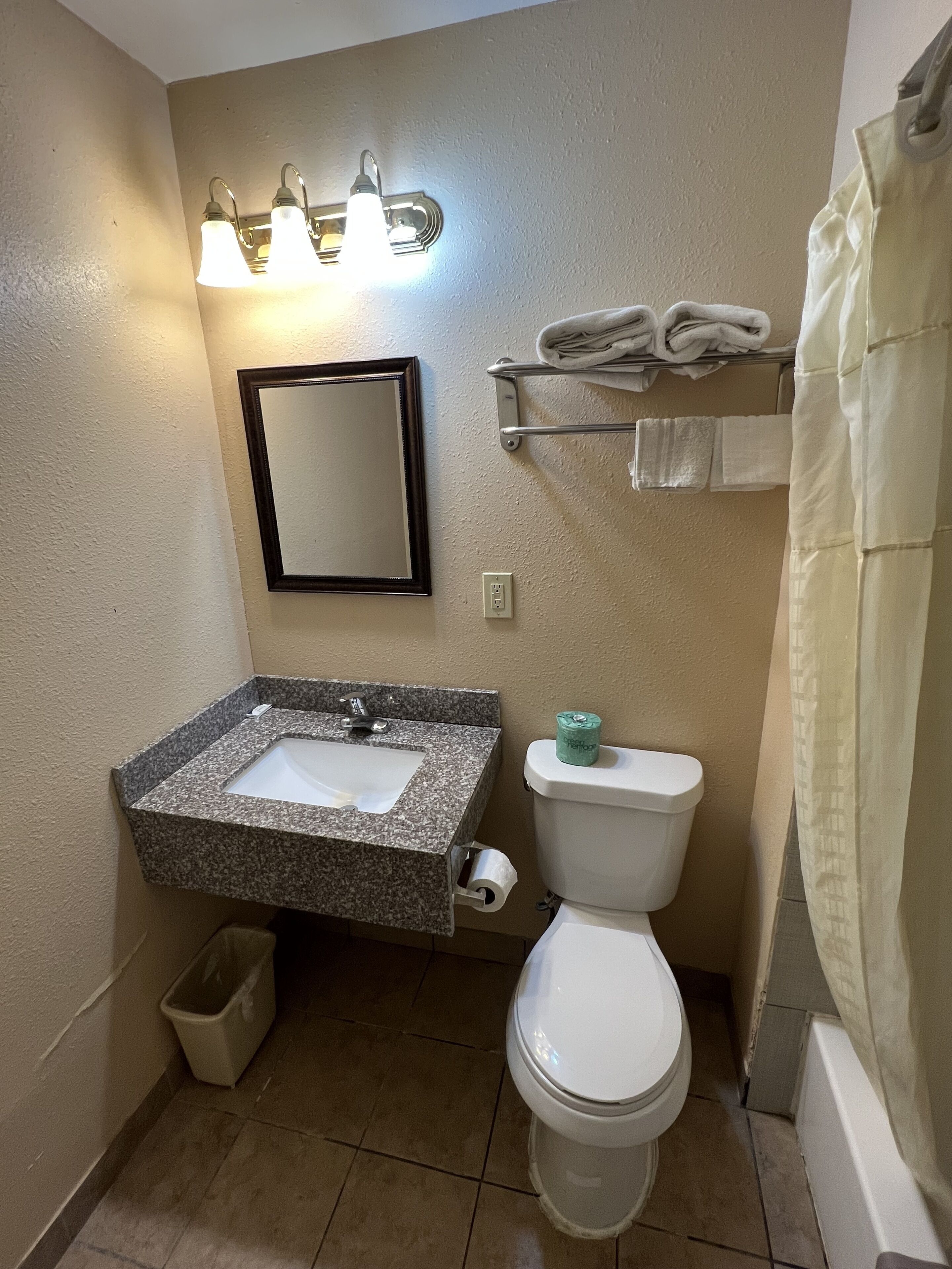 Towels, soap, shampoo, toilet paper
