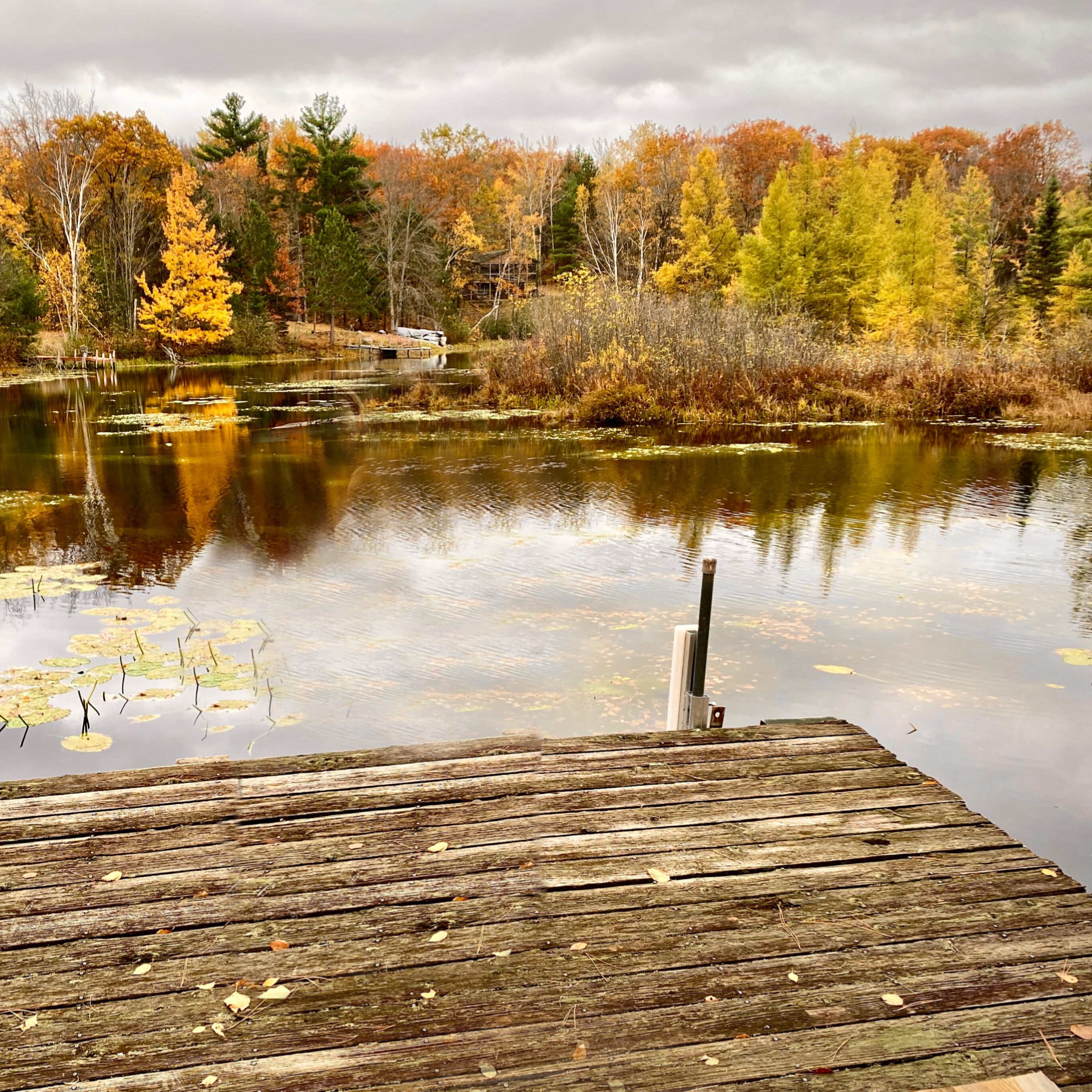 Une jetée en bois s’étendant sur un lac paisible, bordé d’arbres aux couleurs automnales.