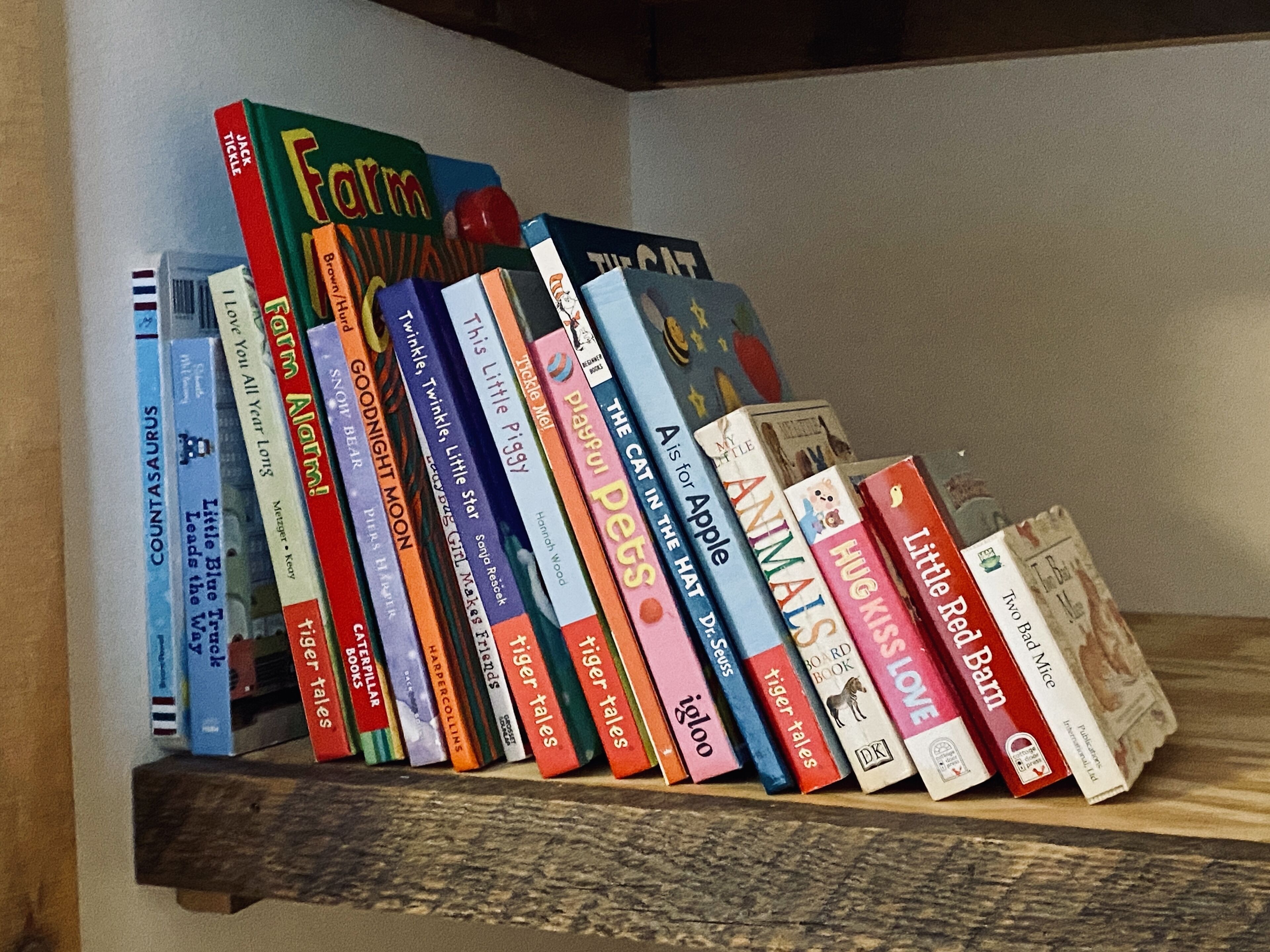 A bookshelf with a variety of books, including titles like 'The Cat in the Hat' and 'Goodnight Moon'.