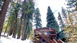 A wooden cabin with a balcony and stairs, surrounded by tall trees and snow.