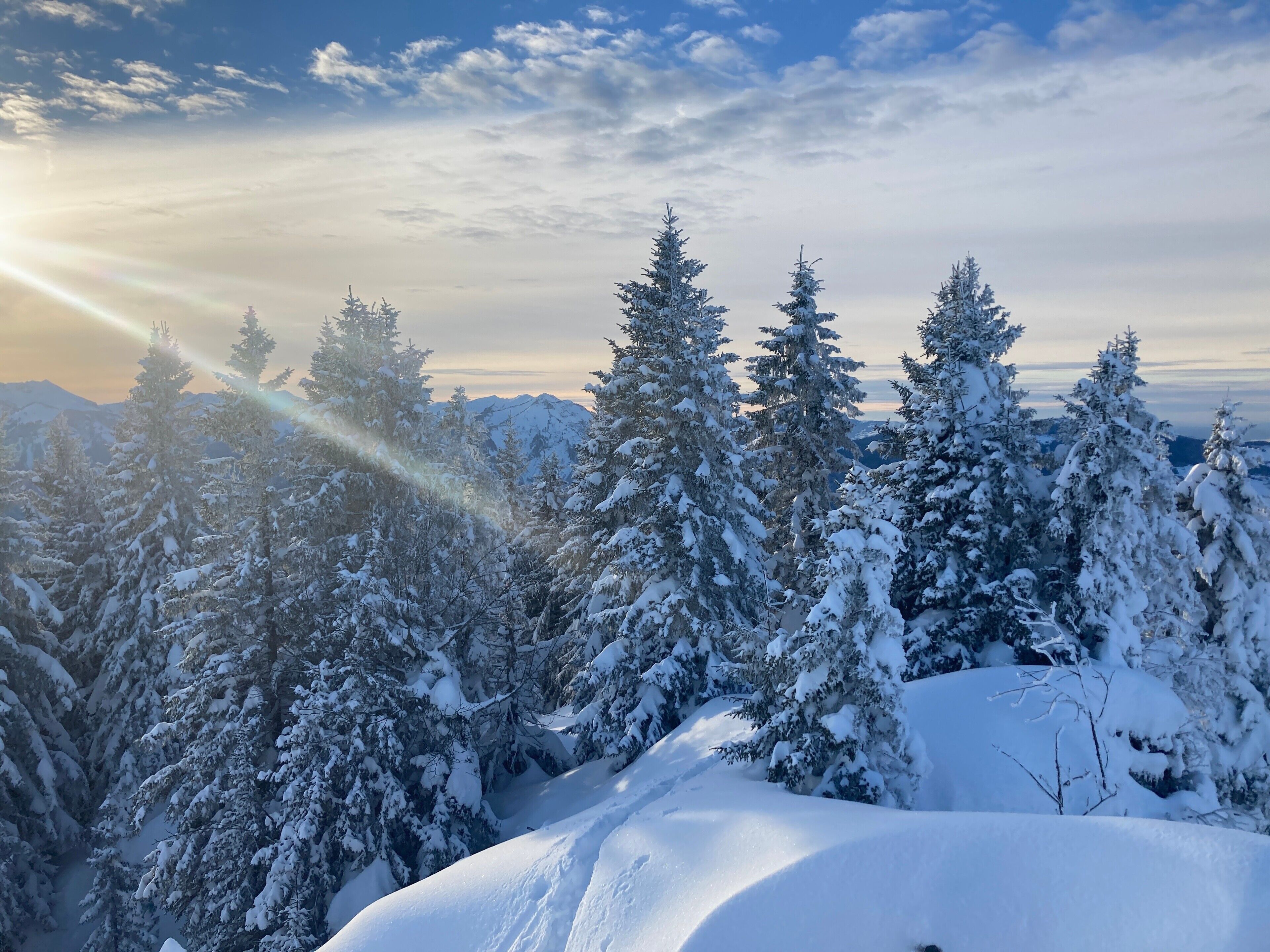 A snowy landscape with evergreen trees and a clear sky.
