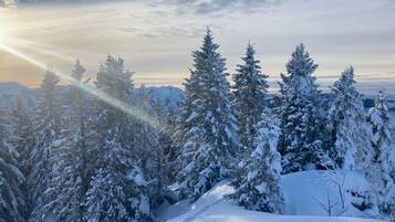 A snowy landscape with evergreen trees and a clear sky.