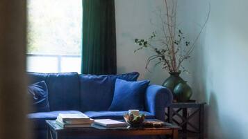 Smart TV, fireplace, books