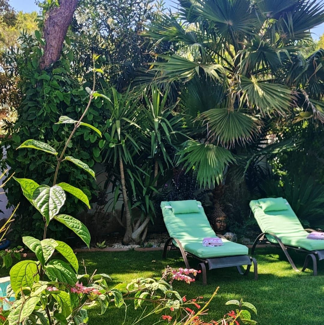 Un jardín con piscina, sillas de descanso y diversas plantas tropicales.