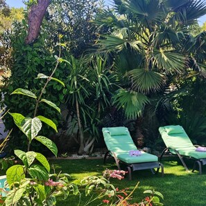 Un jardin avec une piscine, des chaises longues et diverses plantes tropicales.