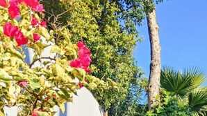 Une statue de Bouddha, placée dans un jardin, adossée à un mur blanc et entourée de verdure et de plantes en fleurs.