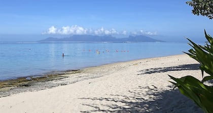 Independent 1BR Apartment, 5 min walk to the beach, restaurants and shops