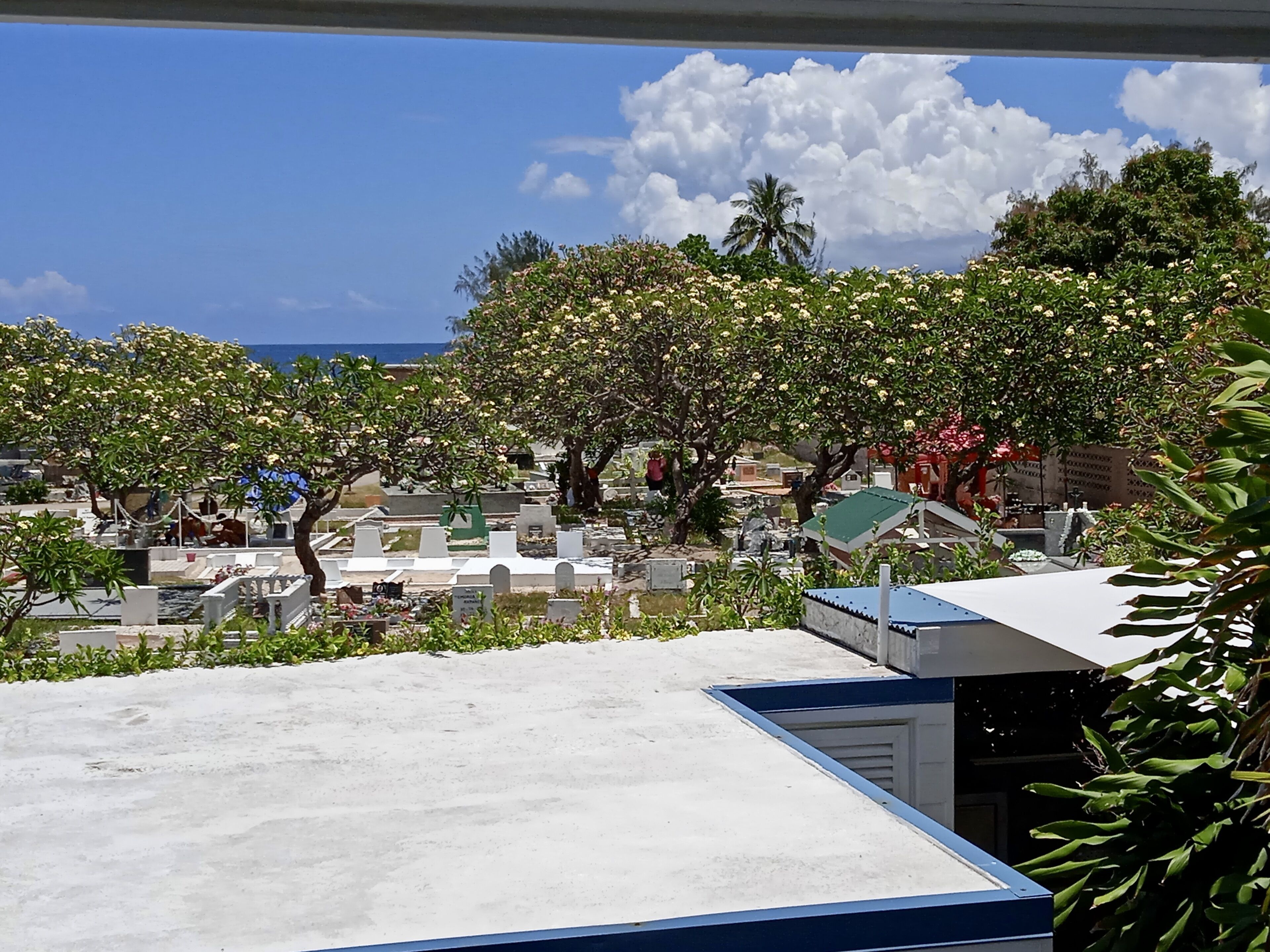 A cemetery with headstones and trees, a clear sky, and a distant view of the ocean.