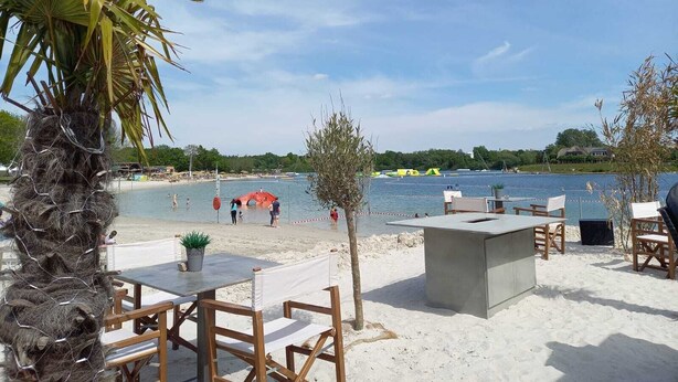 A beachside restaurant with outdoor seating, a palm tree, and a view of the water.