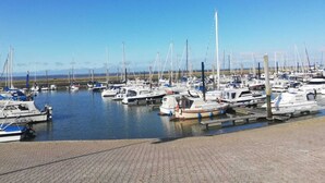 A marina with numerous boats docked, a clear sky, and a distant mountain range.