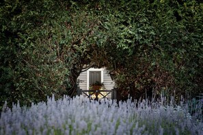 A rustic wooden cottage with a window and a door, surrounded by dense foliage and lavender fields.