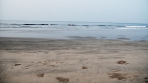 ใกล้ชายหาด