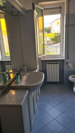 Ducha, bidé, jabón y papel higiénico