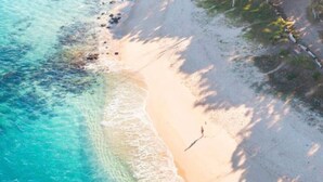 An aerial view of a beach with clear turquoise water, sandy shore, and sparse vegetation. - THE BAY. Effortless family fun. Pet friendly. (Nelson Bay)