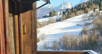 Two-room apartment with Mont Blanc view