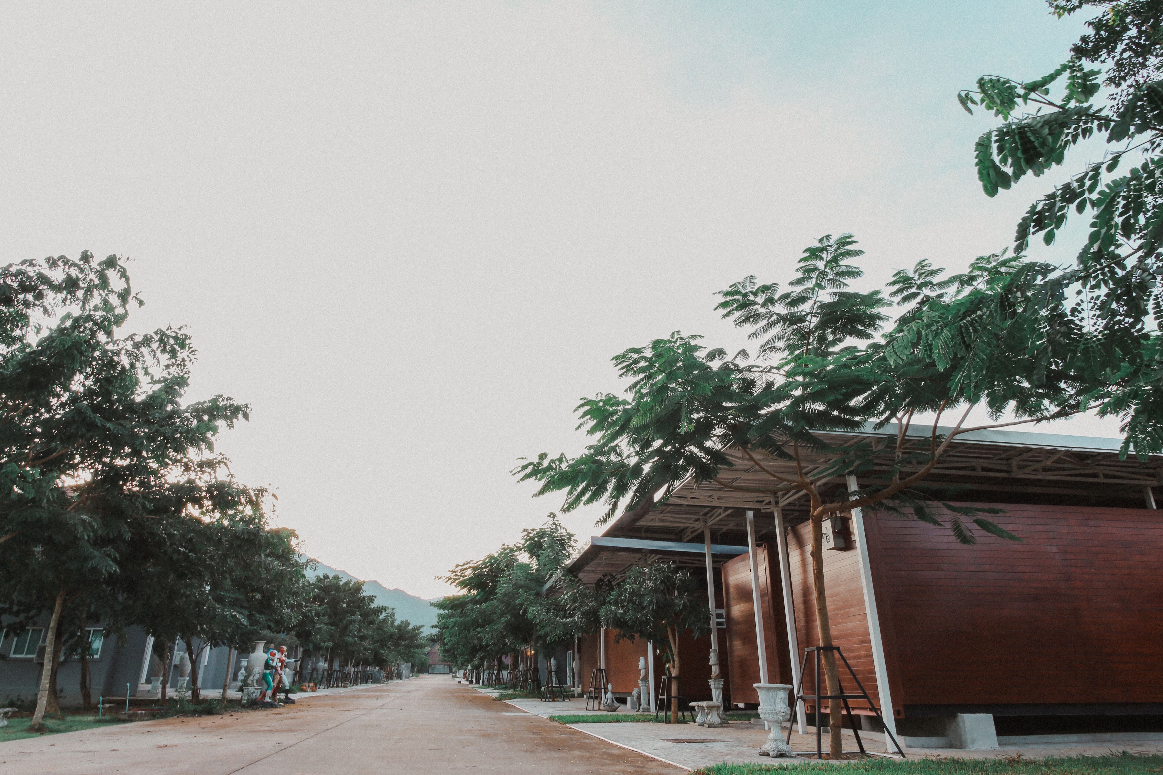 A street lined with trees and buildings, including a wooden structure with a covered area.