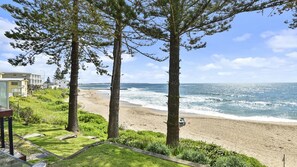 A beach view with tall trees, a sandy shore, and a clear sky.