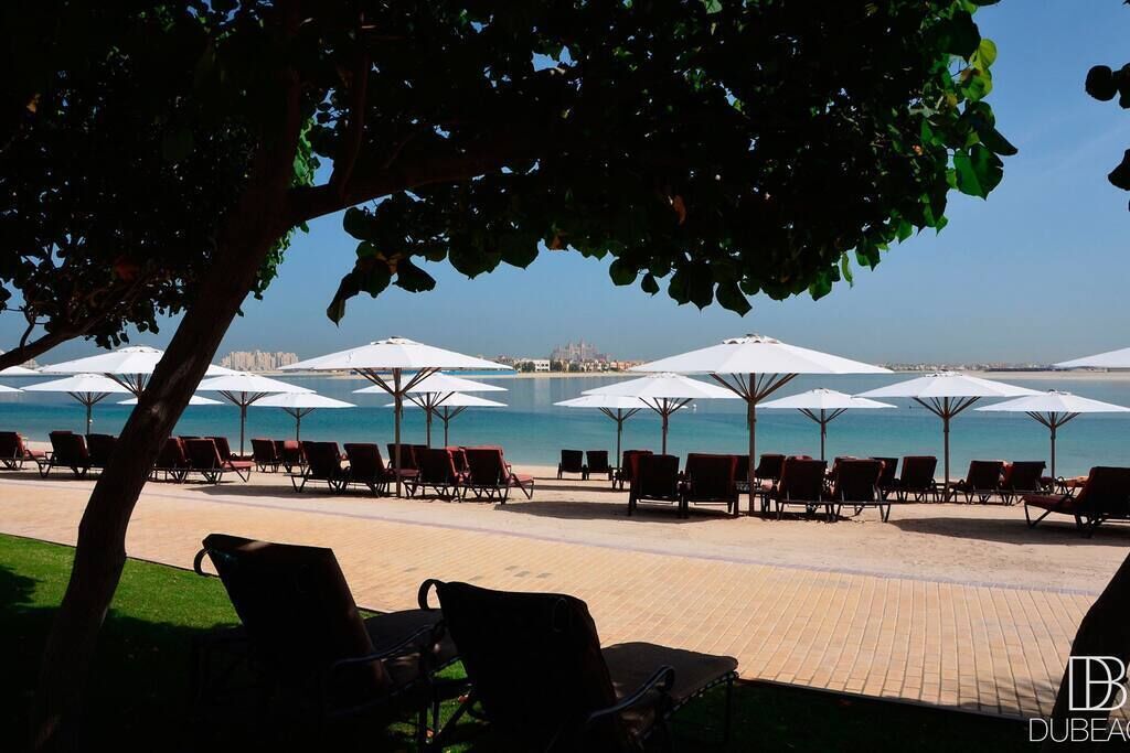 Un espace de détente aménagé au bord de la plage, avec plusieurs rangées de chaises longues et de parasols, une promenade dallée et une vue sur la mer et les bâtiments situés au loin.