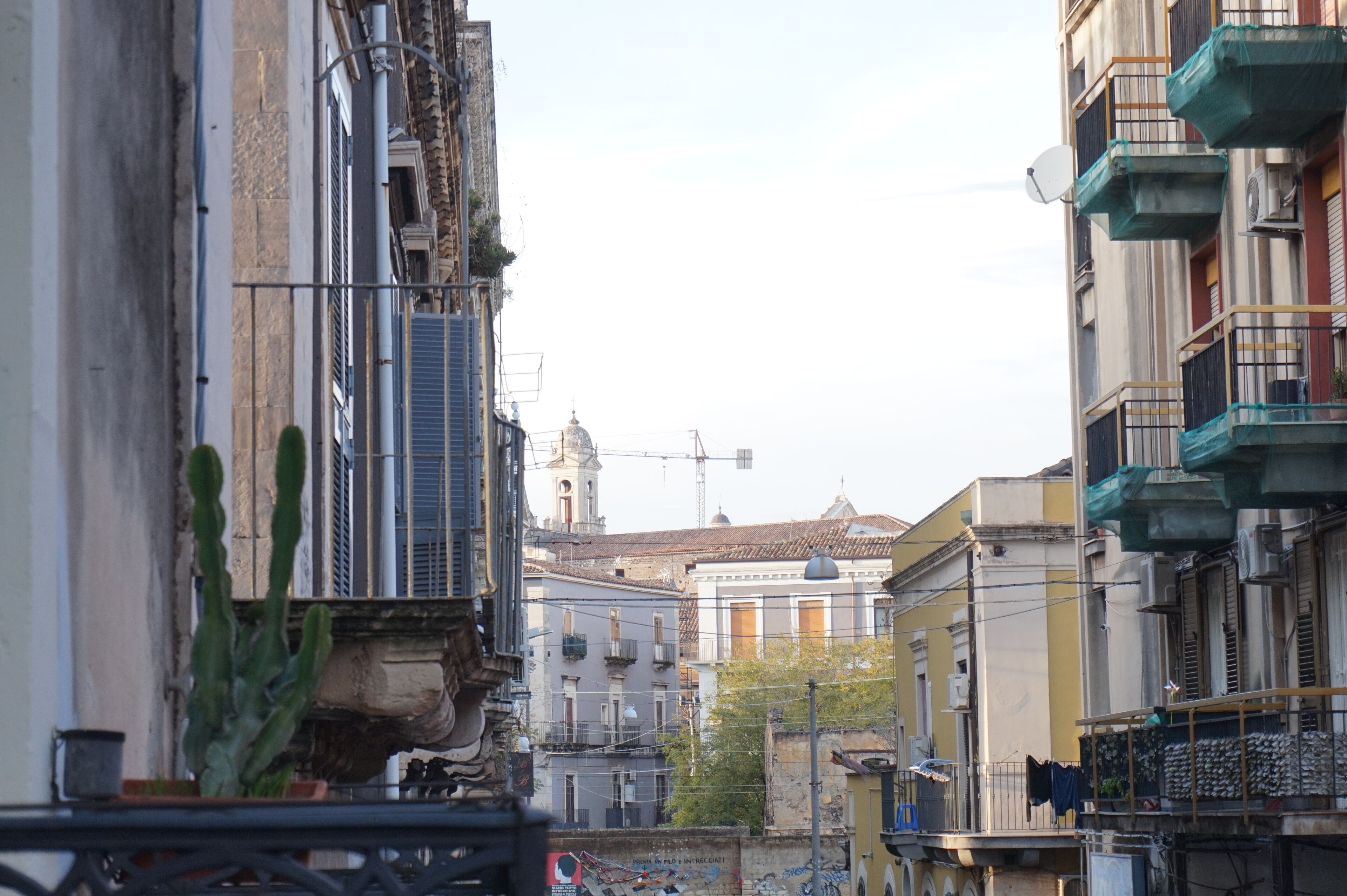 Foto - Palazzo Speciale B&B