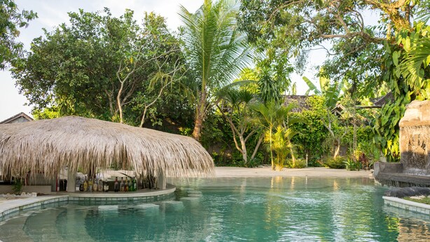 Una piscina con una estructura de techo de paja, rodeada de exuberante vegetación tropical.