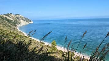 Ligstoelen aan het strand