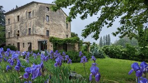 A stone building with ivy, surrounded by a garden with purple flowers.
