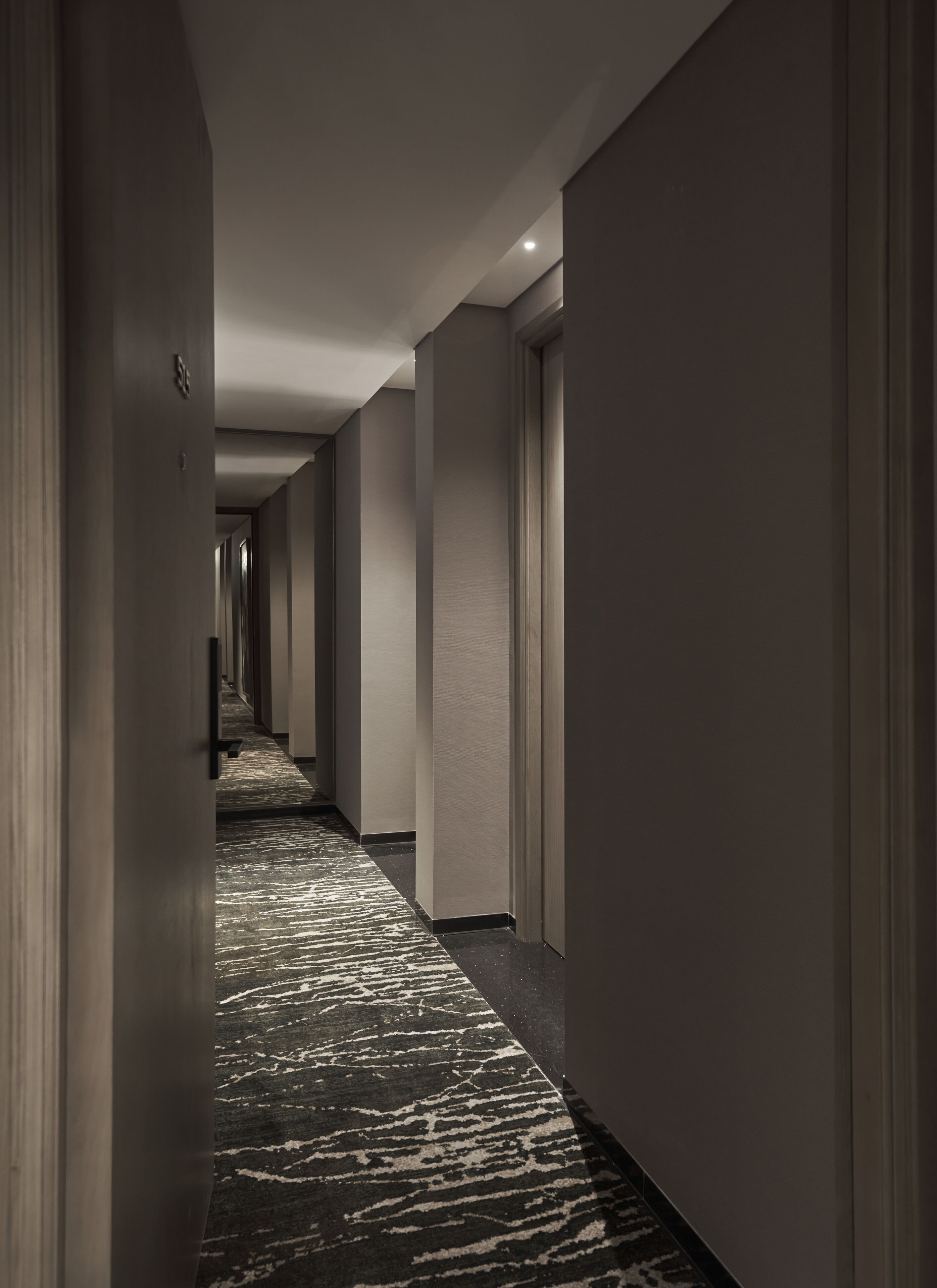 A corridor with a patterned carpet, plain walls, and doors leading to rooms.