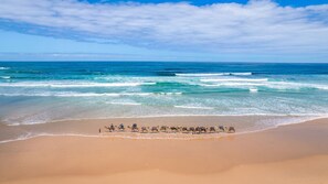 Beach nearby
