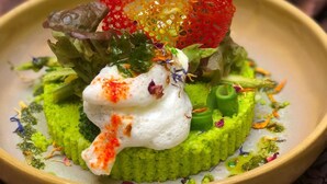 Un plato de comida con base verde, cubierto con un elemento rojo y amarillo, y adornado con hierbas verdes y salsa blanca.