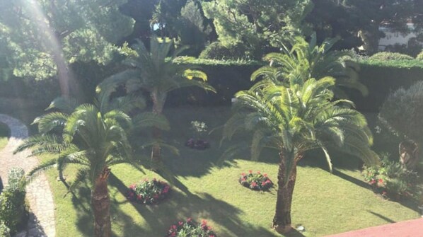 A well-maintained garden with palm trees and flower beds. - Sea and Sun (Villefranche-sur-Mer)