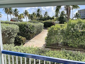 Un jardin aménagé avec un sentier dallé, entouré de divers arbustes et de palmiers.